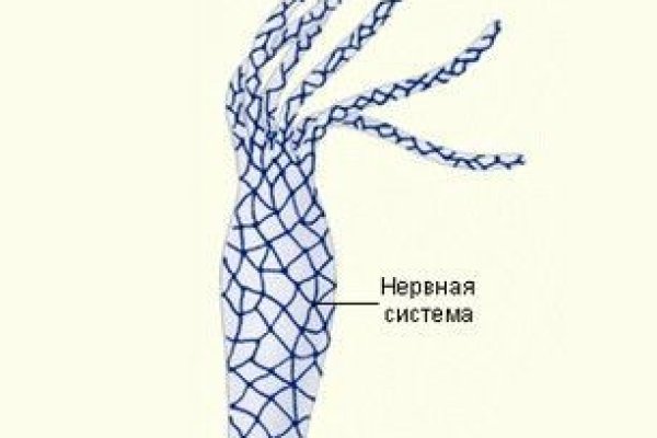 Как восстановить доступ к кракену