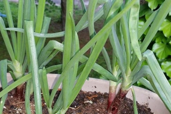 Кракен ссылку где