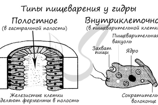 Кракен марке даркнет
