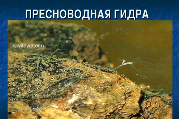 Где найти рабочую ссылку на кракен