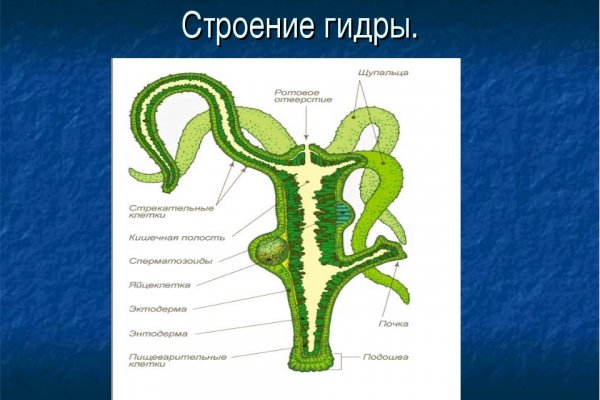 Аккаунты кракен